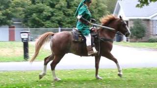 link and epona ! :D