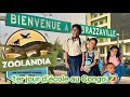 VLOG CONGO Zoolandia On S Attendait à Mieux Rentrée à L école Congolaise VLOG CONGO Zoolandia On S Attendait à Mieux Rentrée à L école Congolaise