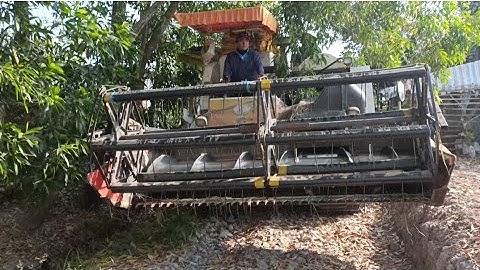 máy cắt lúa 105 độ bánh 9 cắt rất nhanh quá đỉnh tập 45#maibangtv