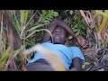 Nyamula Trailer IFFR 2025 Nyamula Trailer IFFR 2025