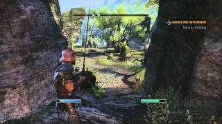 Elder Scrolls Online: Audience With The WilderKing screenshot 4