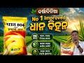 No 1 Improved ଧାନ PAN 804 Jamuna ଚାଷୀଙ୍କ ପ୍ରଥମ ପସନ୍ଦ 140-145 ଦିନିଆ ଧାନ ଏକର ପ୍ରତି 30-35qt ଅମଳ