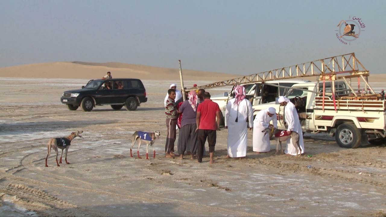 اشواط التصفيات لبطولة جمعية القناص الدولية الثامنة لهدد السلوقي 2017