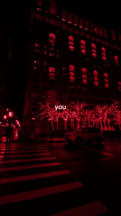 RITA ORA - Poisin (Lyrics) | I pick my poison and it's you [TikTok Version]