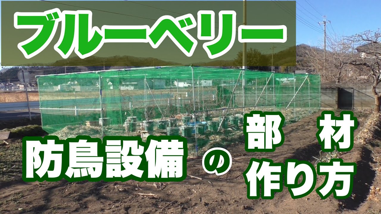 ブルーベリー　防鳥設備の部材、作り方