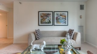 Chicago Apartment Tour - 1111 North Dearborn