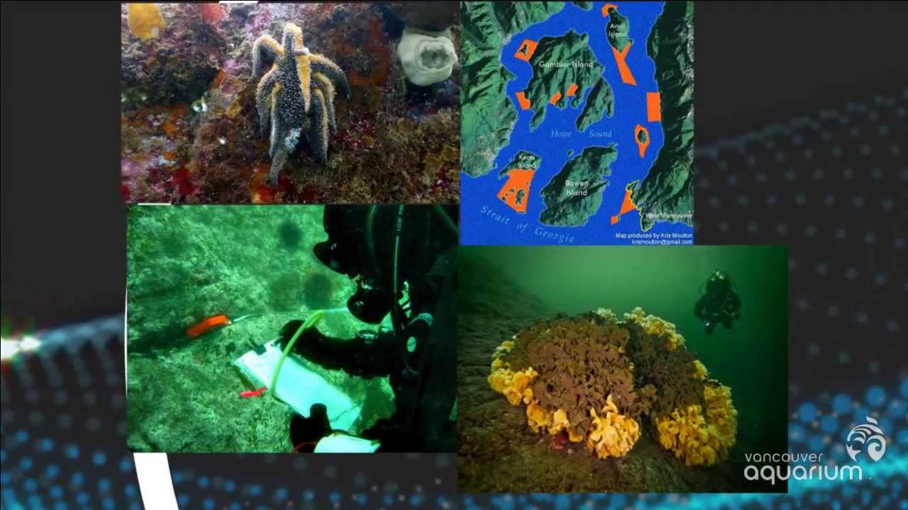 Careers in Science - Vancouver Aquarium