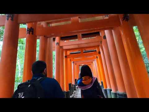 Kyoto Gates path