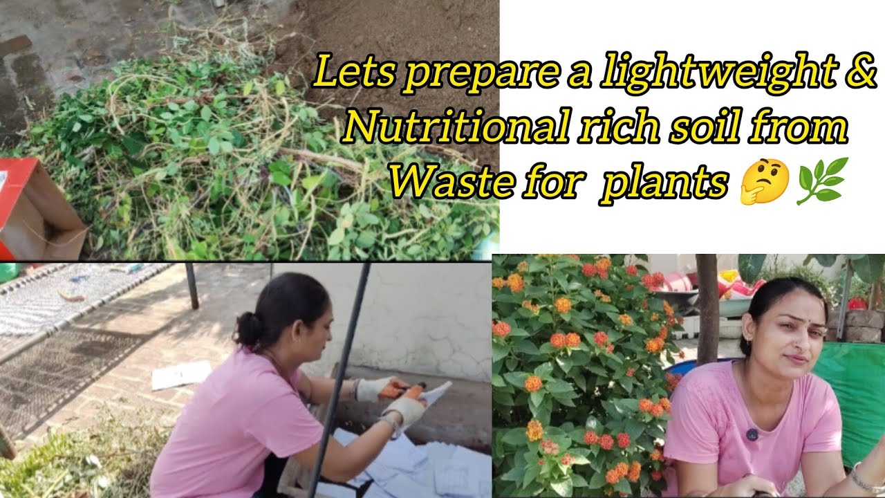 Let's prepare a lightweight & Nutrition rich soil from kitchen & garden waste 🤔🥰for plants 🌵