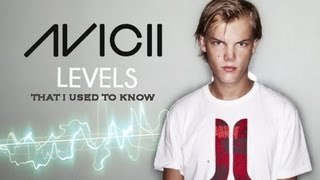Levels That I Used To Know - Avicii Vs. Gotye