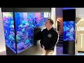 GERMAN REEF TANKS - *Drop off* - saltwater aquarium TOUR