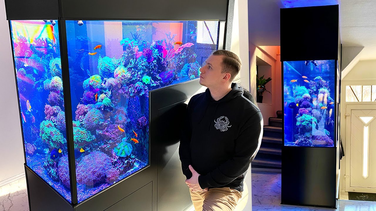 GERMAN REEF TANKS *Drop off* saltwater aquarium TOUR YouTube