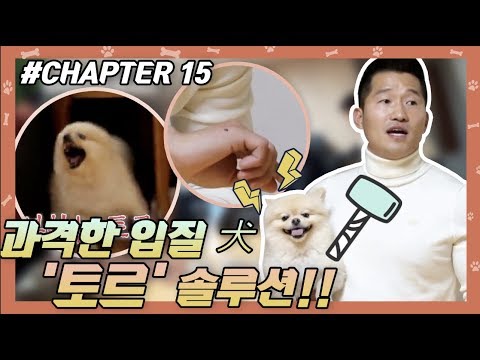 #CHAPTER15 |  과격한 입질犬 토르 훈련기 !! [개는 훌륭하다] #강형욱 #개통령 #강훈련사 ㅣ KBS방송