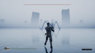 Mortal Shell No Shell Run Final Boss Playstation 5 Easy And Safe Strategy