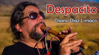 Video thumbnail of "Chano Diaz Limaco - Despacito (Versión Instrumental Andina)"