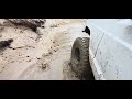 You'll never believe this is in Florida! #offroad #overland #jeep 