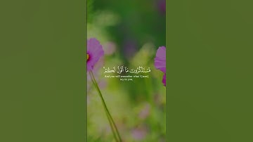 سورة غافر الآية 44 | تلاوة مبكية للشيخ ياسر الدوسري |