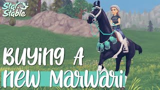 Buying A New Marwari | Star Stable Online ✨🐴