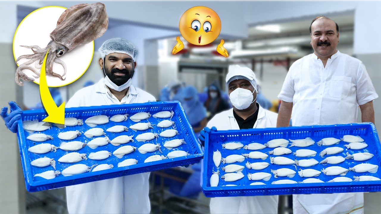 കേരളത്തിൽ നിന്നും വിവിധ രാജ്യങ്ങളിലേക്ക് സീ ഫുഡ് കയറ്റുമതി ചെയ്യുന്ന കമ്പനി. പ്രവർത്തന രീതികൾ കാണാം.