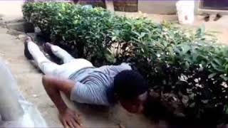 Only For Chin Chin Fantasy Comedy