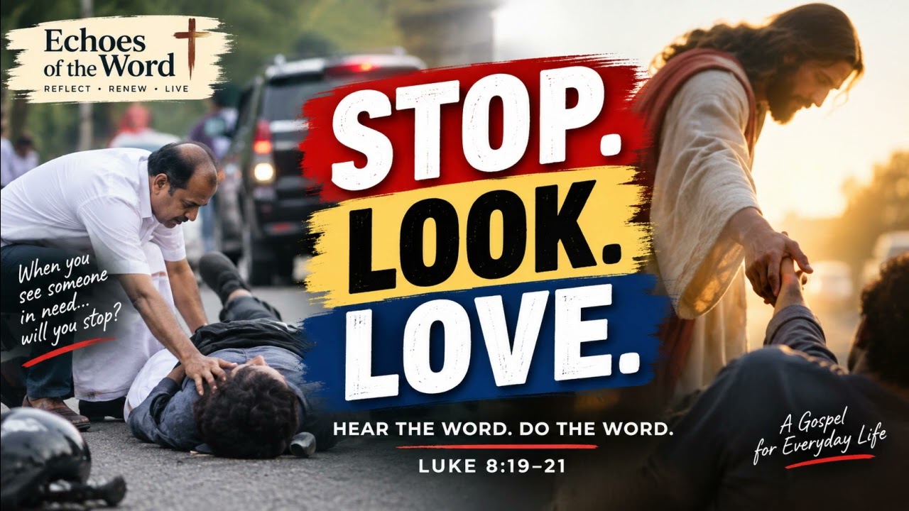 STOP. LOOK. LOVE.