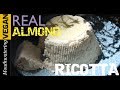 Fresh Vegan Ricotta/Vegan Paneer Cheese Recipe | MOUTHWATERING VEGAN TV