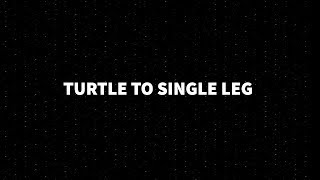 Turtle to Single Leg | Guard Retention