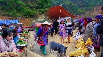 TRỰC TIẾP CHỢ VÙNG CAO CÁN CẤU SIMACAI - NHỘN NHỊP CHỢ PHIÊN | VIETNAM MOUNTAIN MARKET