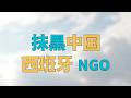 “【针对全体中国人】西班牙NGO【抹黑中国】”，【中美博弈】烈度增加，我们如何面对