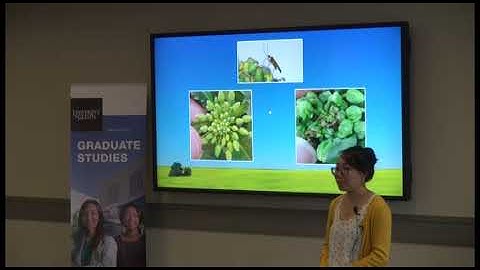 Jenny Liu Presents Her Three Minute Thesis at the University of Guelph
