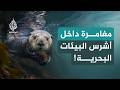 بين مد وجزر.. معركة البقاء في أبرد بحار كندا! | الحلقة الأولى