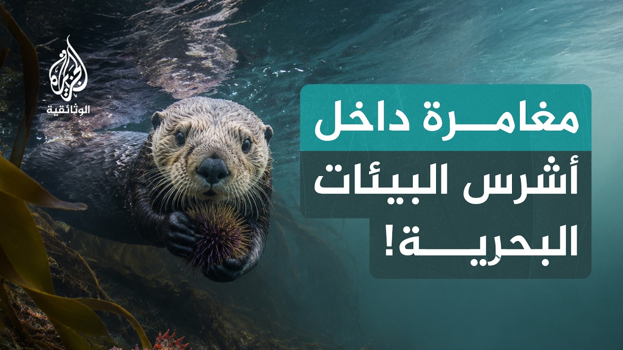 بين مد وجزر.. معركة البقاء في أبرد بحار كندا!