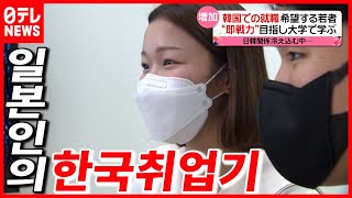 [닛테레official] 한국에서 일하는 일본인이 있다고?? 일본인의 한국취업기 집중 탐구! (한글자막/6월8일온에어「news every.」)