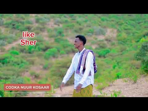 DHAANTO CUSUB ABWAAN NUUR GOSAAR GEEENYADII REER BAKOOL IYO BAYDHABO 2026