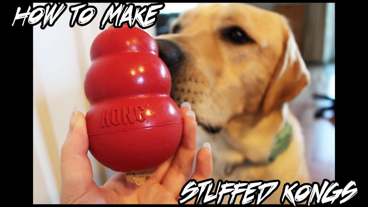DIY Frozen Stuffed Kongs YouTube