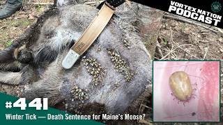 Ep. 441 | Winter Tick — Death Sentence for Maine’s Moose?