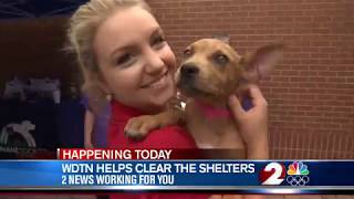 Clear The Shelters 2019: Coverage from Nexstar Stations