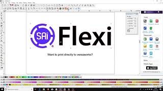 Basic uses of Flexisign 12