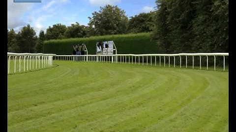 Inspired Virtual Horseracing