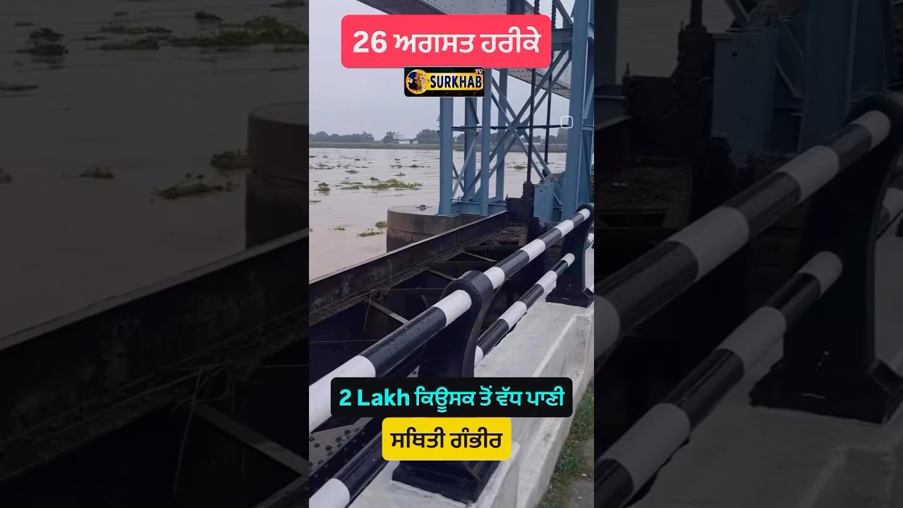 Latest Update From #Harike ਹੜ੍ਹ ਦਾ ਪਾਣੀ ਮਚਾ ਰਿਹਾ ਤਬਾਹੀ
