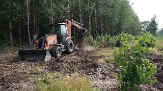 Watch now: Missoula Tree Farm