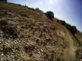 Daves Crash