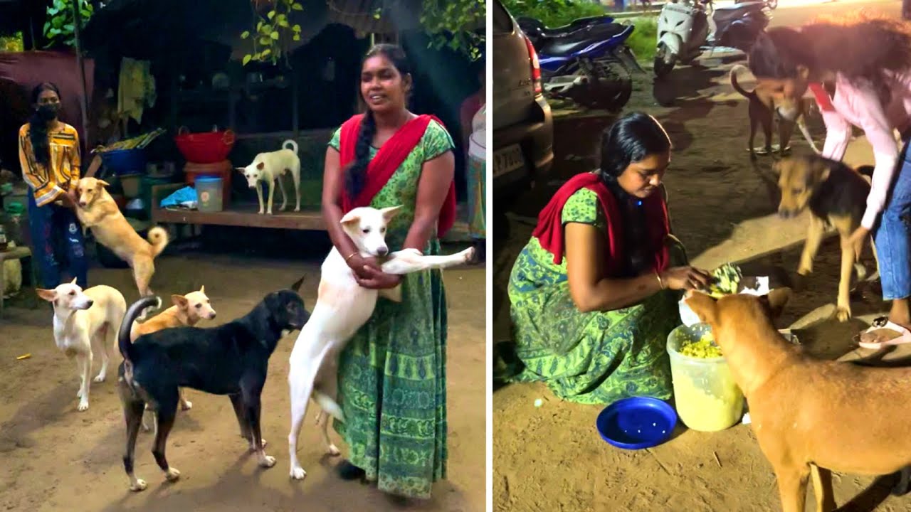 ഒരു നാട് മുഴുവൻ പരിഹസിച്ചിട്ടും തെരുവ് നായകൾക്ക് വേണ്ടി ജീവിതം മാറ്റിവെച്ച അമ്മയും മക്കളും.!!