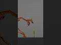 Melon Sandbox Free Mods You Didnt Know About Pt.2... #shorts