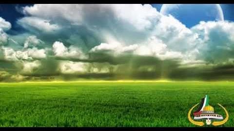 029 - Al-Ankaboot ( The Spider ) سورة العنكبوت