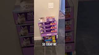 Day 8 of 30
