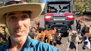 Veteran Gives BEST LIFE to Rescue Dogs | Farm Family Simple Life | Happy Dog Videos