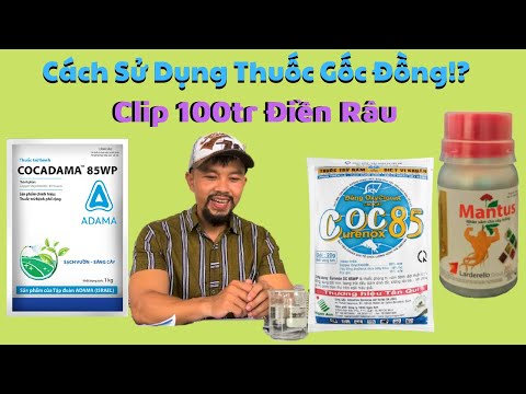 Video: Thông tin về cóc: Tìm hiểu sự khác biệt giữa nấm và cóc