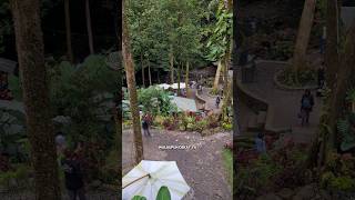 Pemandian ulu lau belawan sungai mata air sebening kaca #wisataalammedan #medanhits #medanmagnet