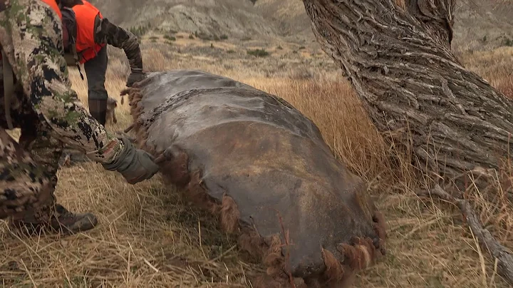 Finding a Buffalo Hide Canoe!